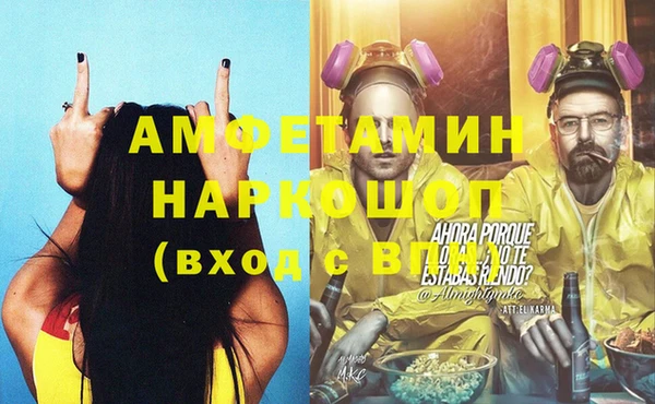 гашик Дмитров
