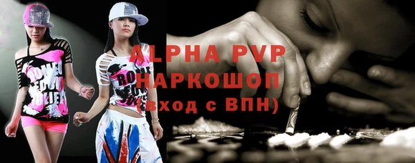 гашик Дмитров