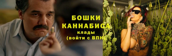 гашик Дмитров