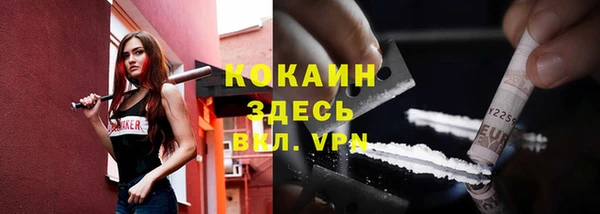 гашик Дмитров
