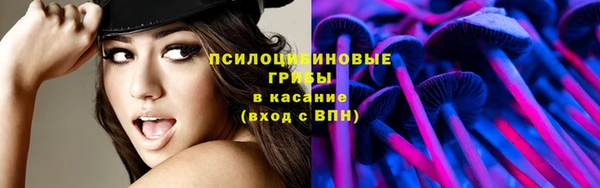 герыч Дмитровск