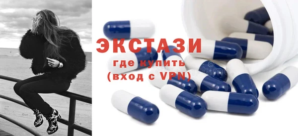 гашик Дмитров