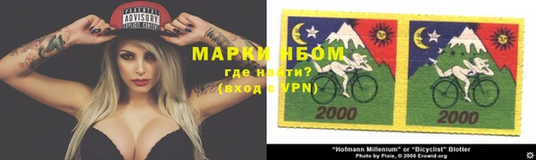 гашик Дмитров