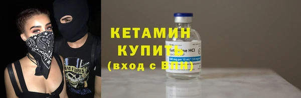 гашик Дмитров