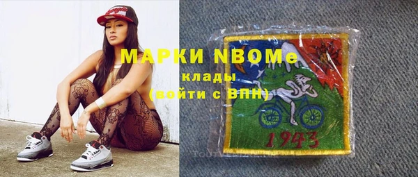 гашик Дмитров