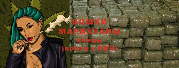 гашик Дмитров
