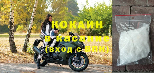 гашик Дмитров