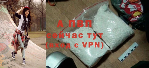 гашик Дмитров
