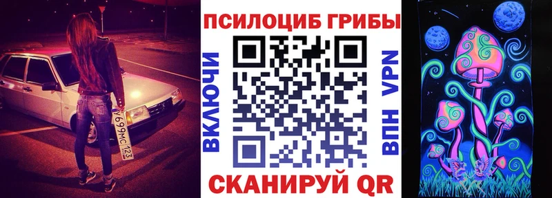 Галлюциногенные грибы Cubensis Купить закладки Нестеровская